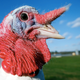 Illustration for article titled 11 turkey facts to pass around the table this Thanksgiving